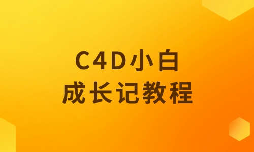 C4D教程C4D小白成长记教程
